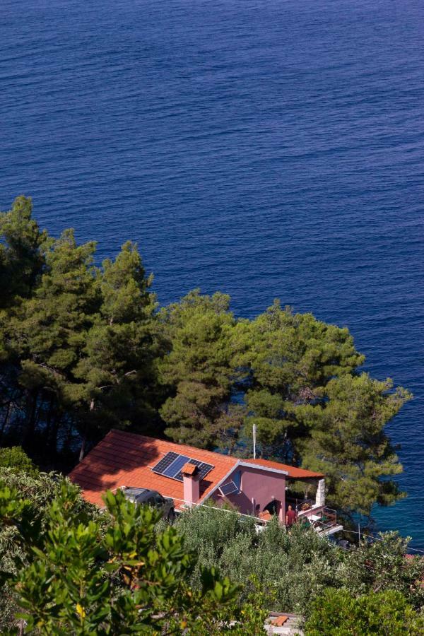 Modern Robinson Veli Bare Villa Vela Luka Exterior photo